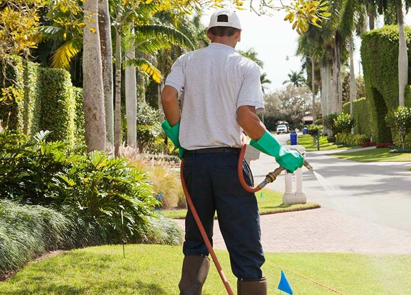 About Luray KS Pest Control Pros
